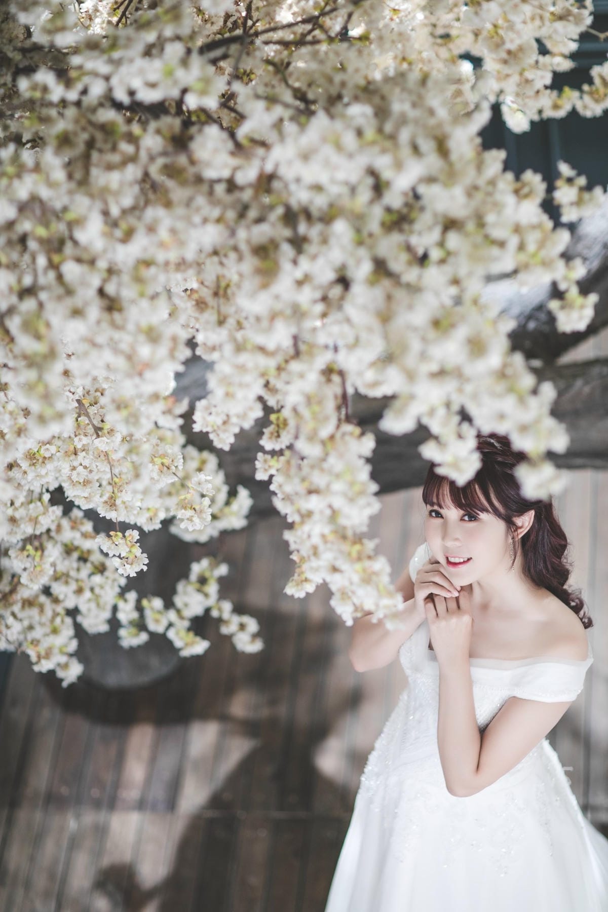 GENI0383_副本.jpg GENI0383_副本.jpg