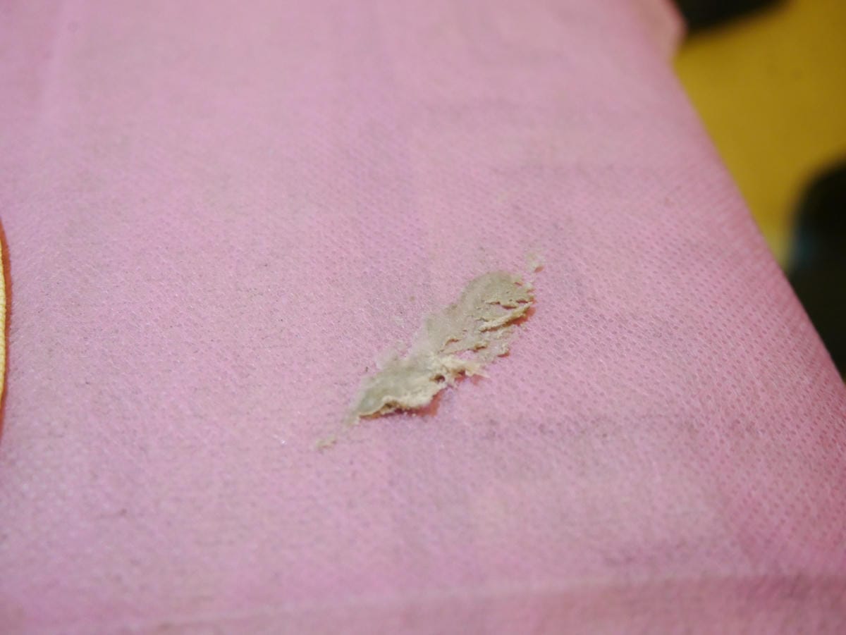 P1740559_副本.jpg P1740559_副本.jpg