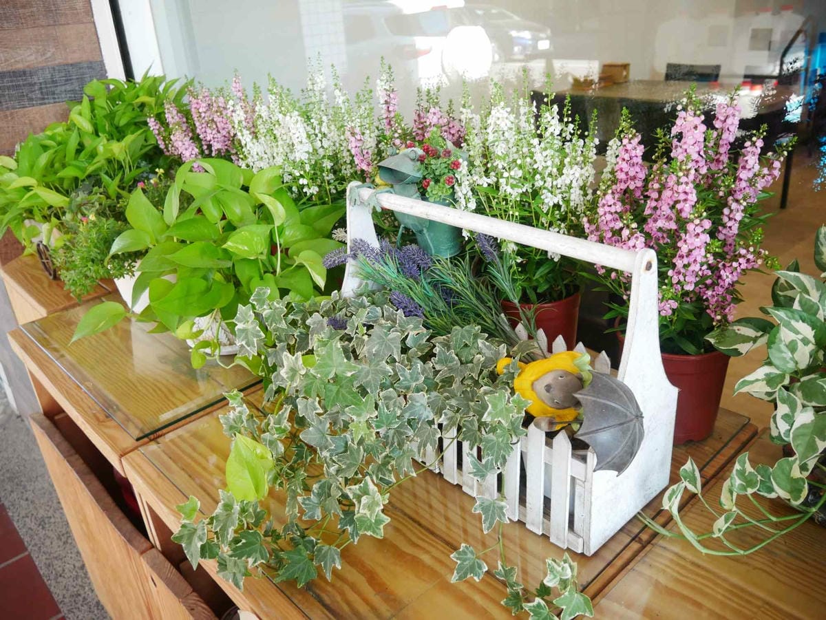 P1760801_副本.jpg P1760801_副本.jpg