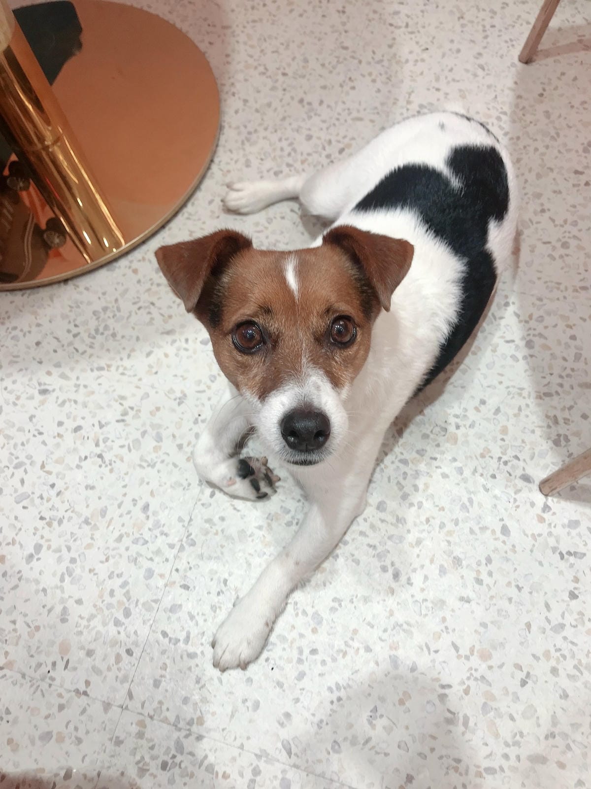 IMG_2035_副本.jpg IMG_2035_副本.jpg