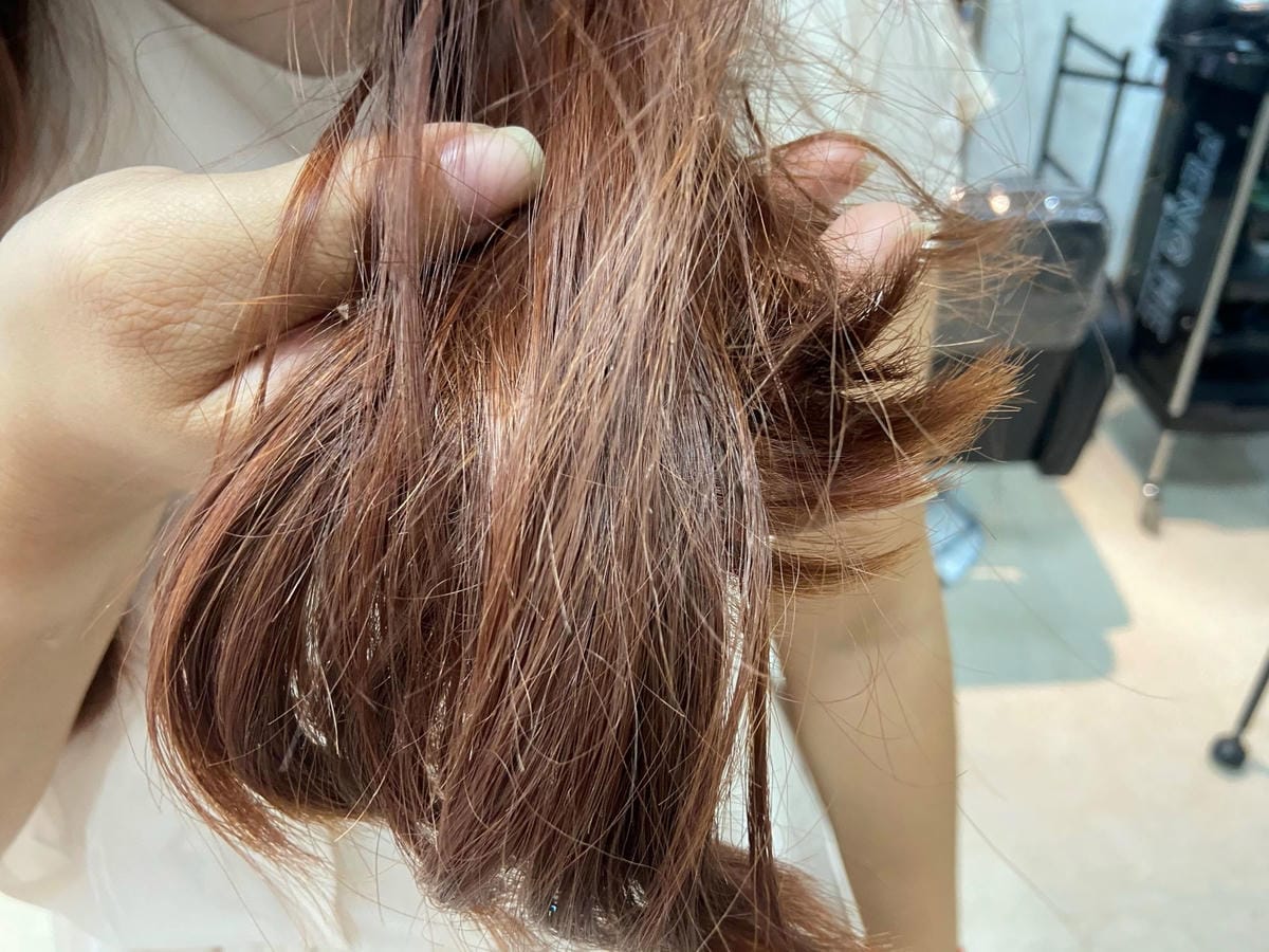 IMG_2974-1_副本.jpg IMG_2974-1_副本.jpg