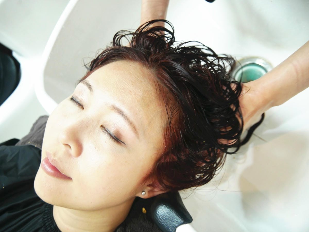 P1790411_副本.jpg P1790411_副本.jpg