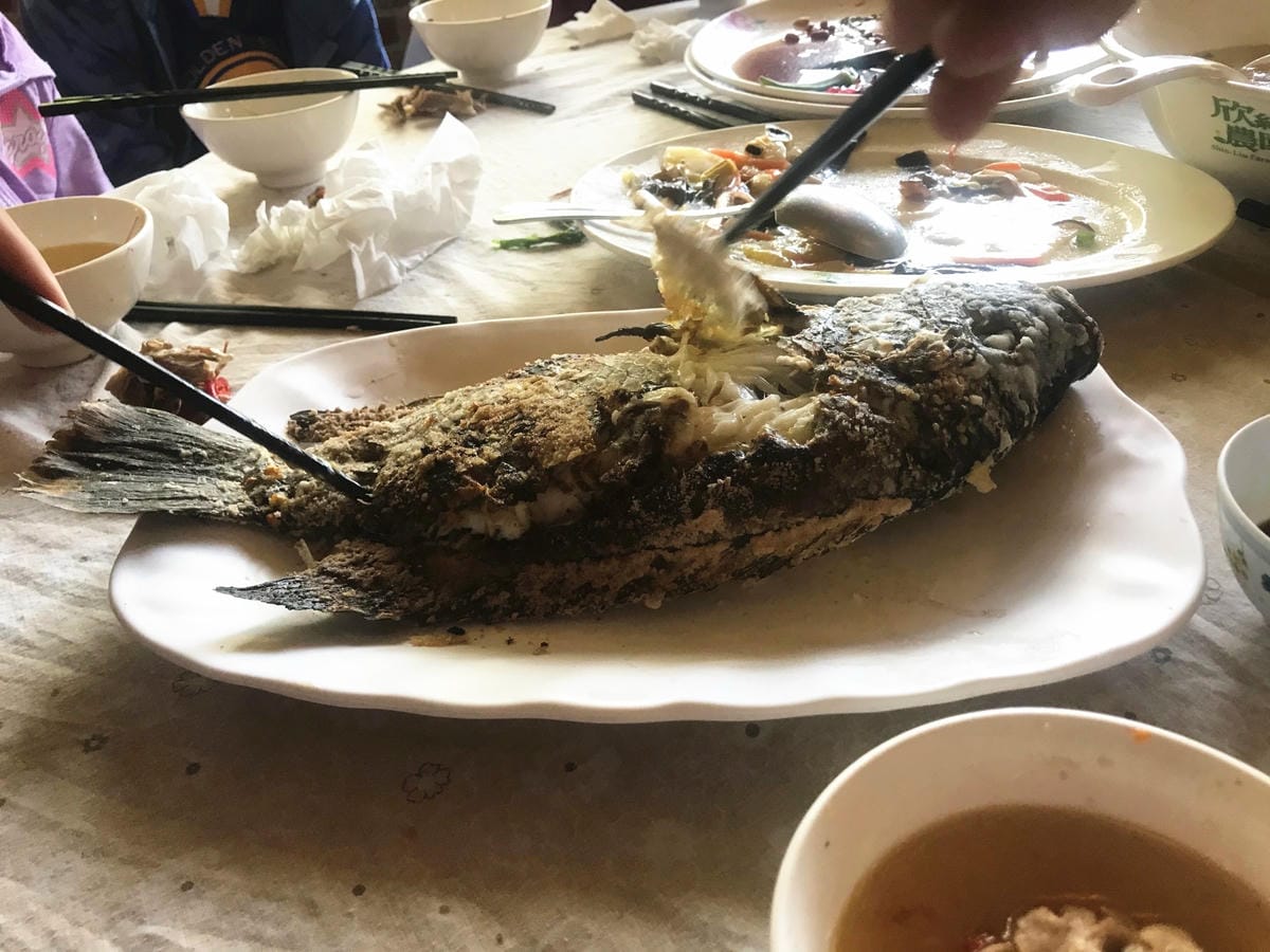 IMG_2625-1_副本.jpg IMG_2625-1_副本.jpg