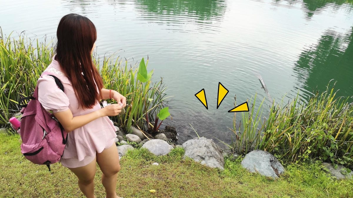 118530682_635389537115334_8082688151772925028_n_副本.jpg 118530682_635389537115334_8082688151772925028_n_副本.jpg