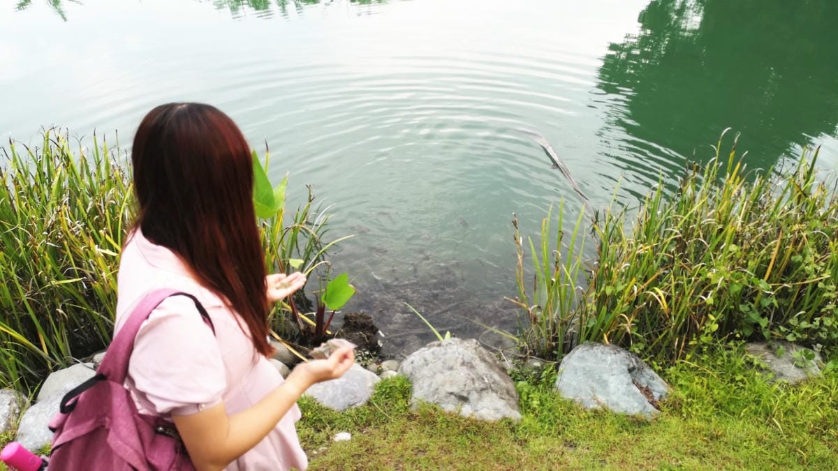 118086795_2874396862666336_6105930858032953799_n_副本.jpg 118086795_2874396862666336_6105930858032953799_n_副本.jpg