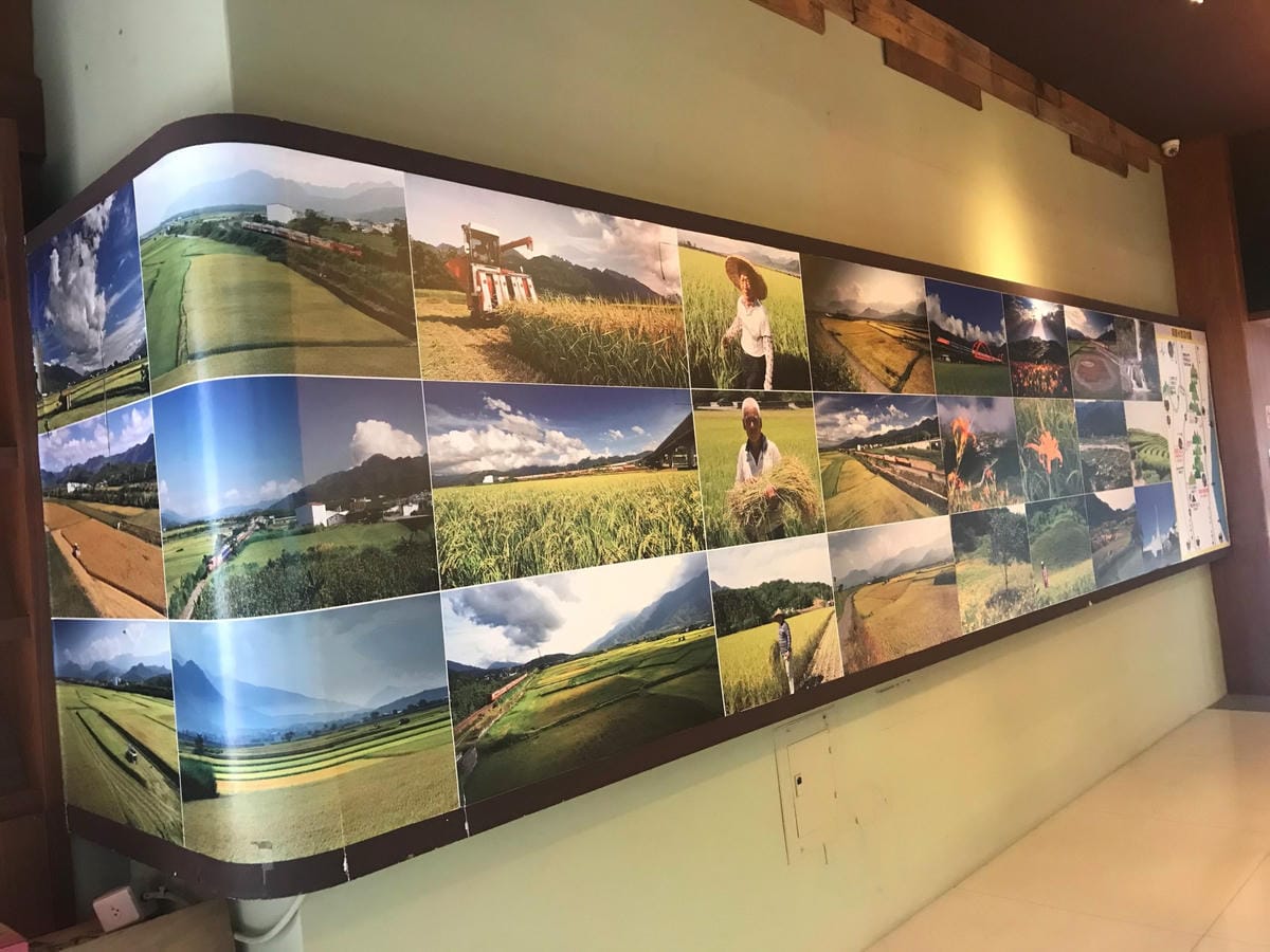 IMG_2487-1_副本.jpg IMG_2487-1_副本.jpg