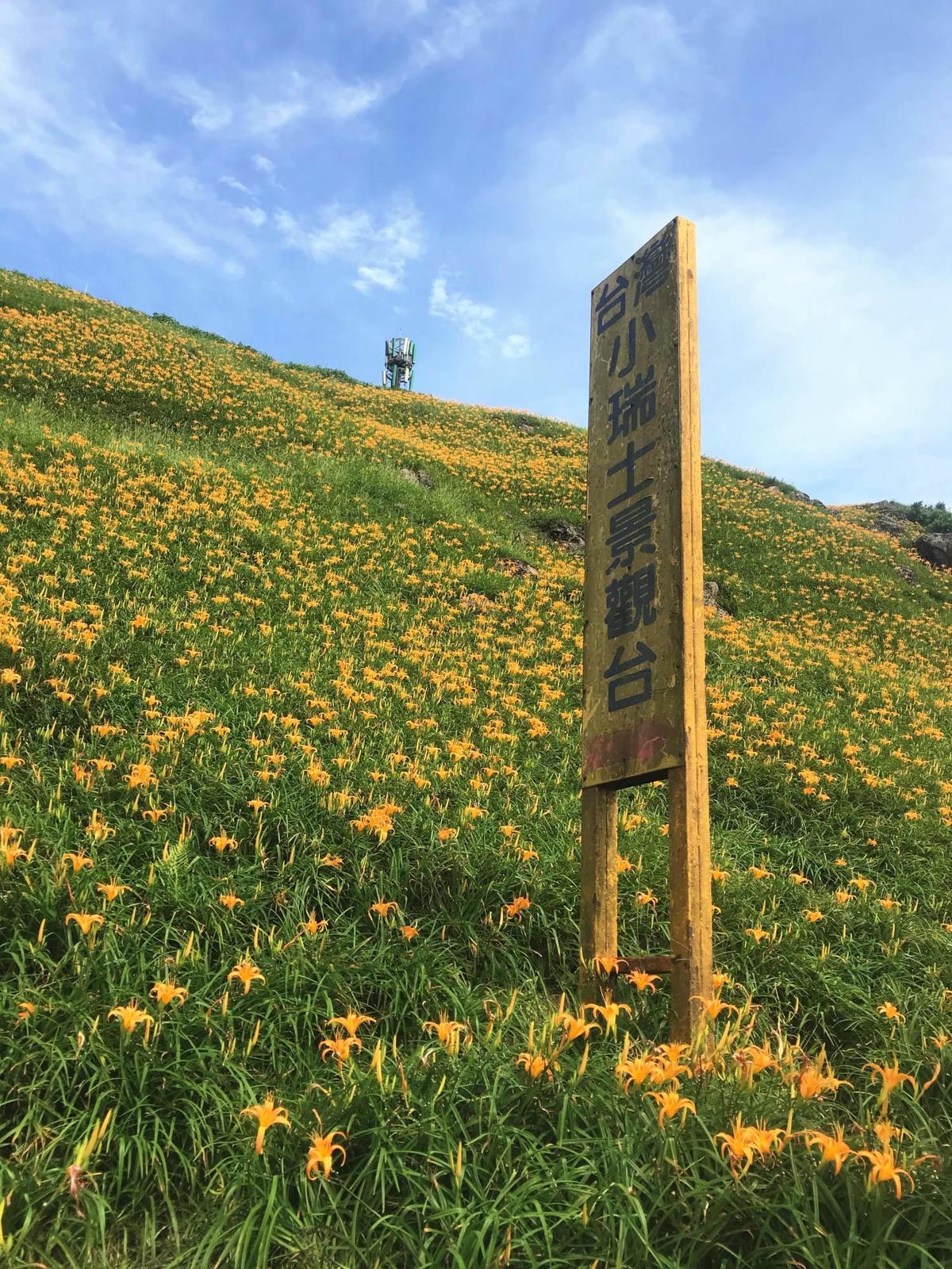 IMG_2482-1_副本.jpg IMG_2482-1_副本.jpg