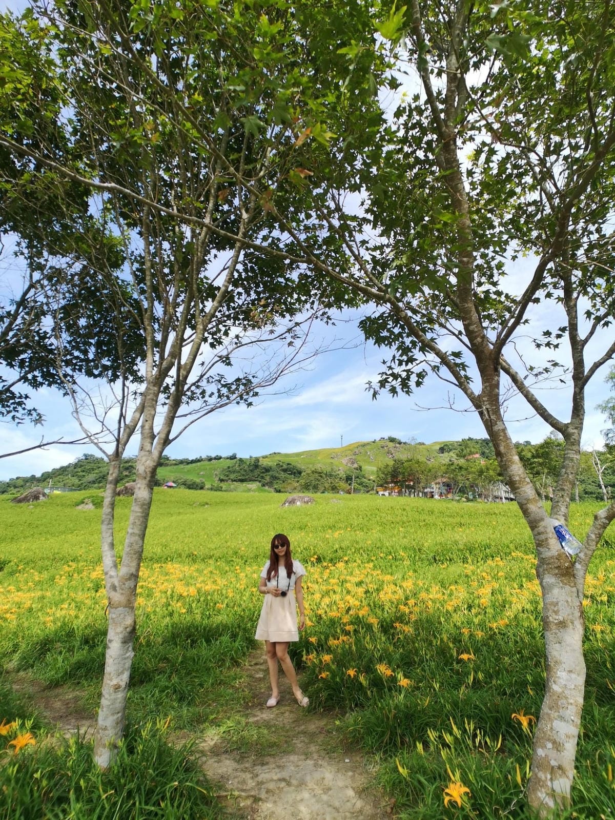 117854850_595612834654316_3202783350486574058_n_副本.jpg 117854850_595612834654316_3202783350486574058_n_副本.jpg