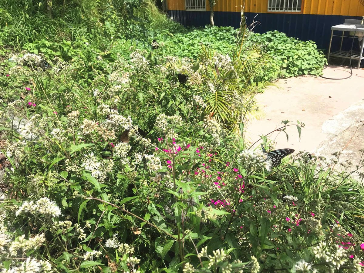 IMG_2477-1_副本.jpg IMG_2477-1_副本.jpg