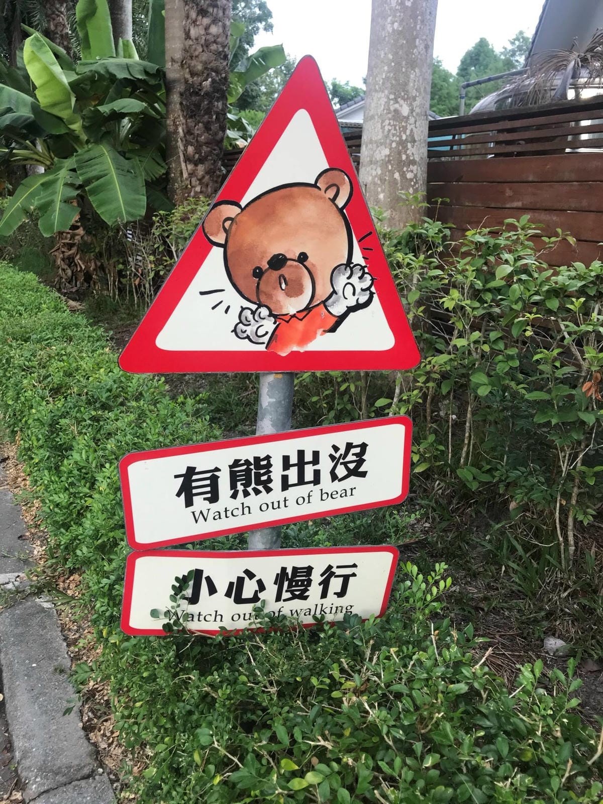 IMG_2677-1_副本.jpg IMG_2677-1_副本.jpg