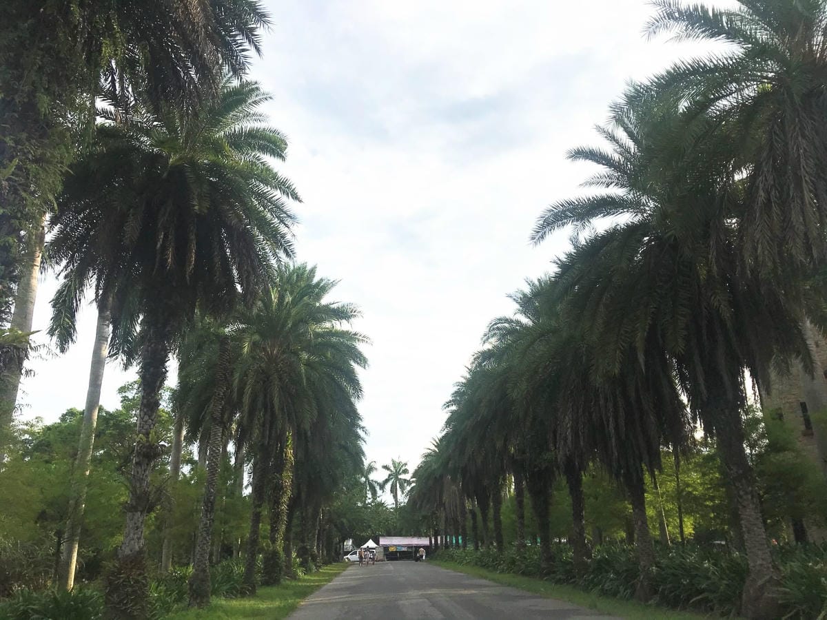 IMG_2670-1_副本.jpg IMG_2670-1_副本.jpg