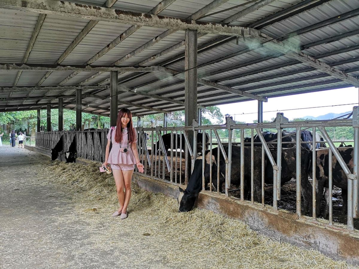 118068024_299531034484840_2438992593379760714_n_副本.jpg 118068024_299531034484840_2438992593379760714_n_副本.jpg