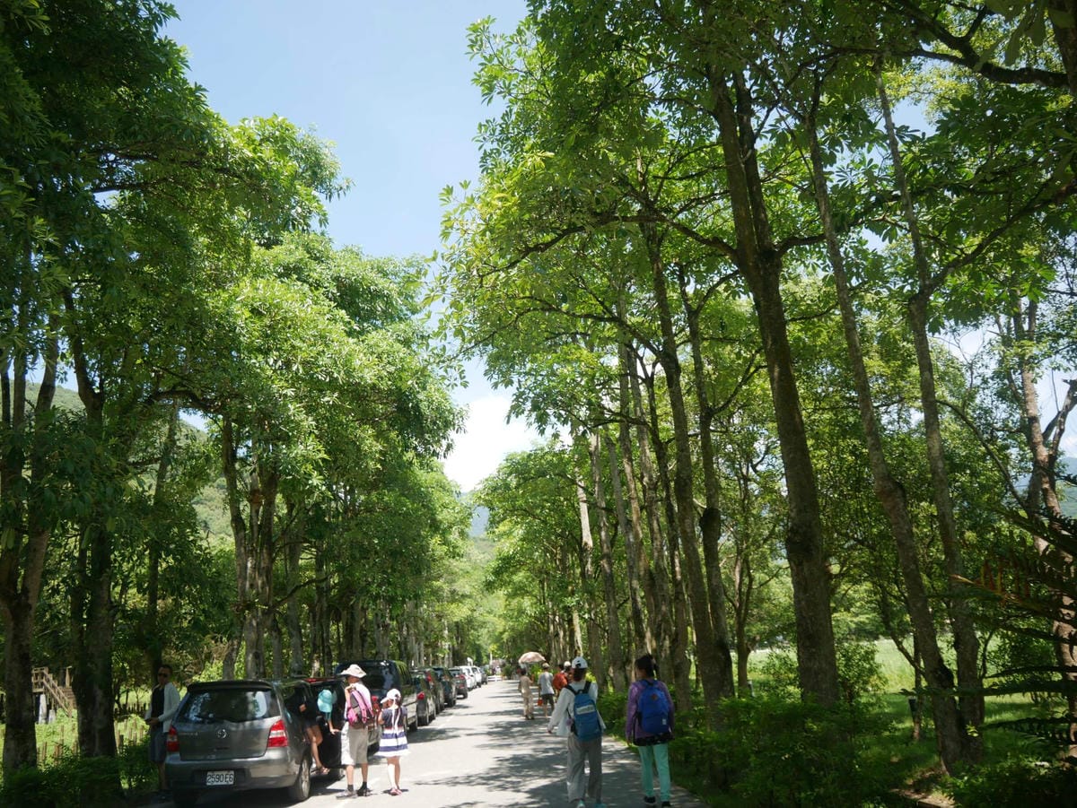 P1780628_副本.jpg P1780628_副本.jpg