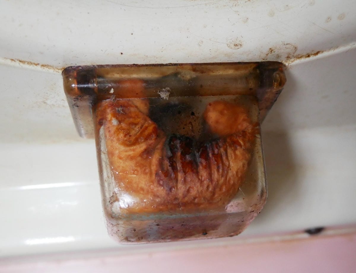 P1770807_副本.jpg P1770807_副本.jpg