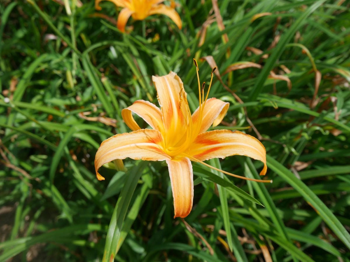 P1780757_副本.jpg P1780757_副本.jpg