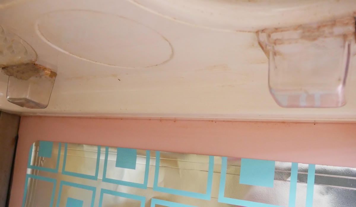 P1770838_副本.jpg P1770838_副本.jpg