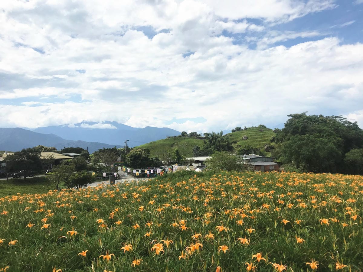 IMG_2476-1_副本.jpg IMG_2476-1_副本.jpg