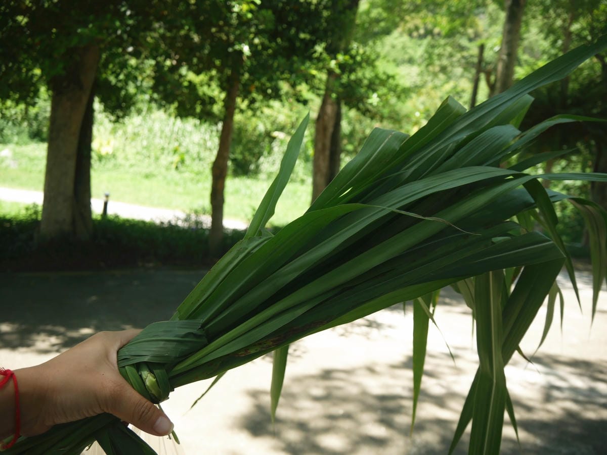 P1780659_副本.jpg P1780659_副本.jpg