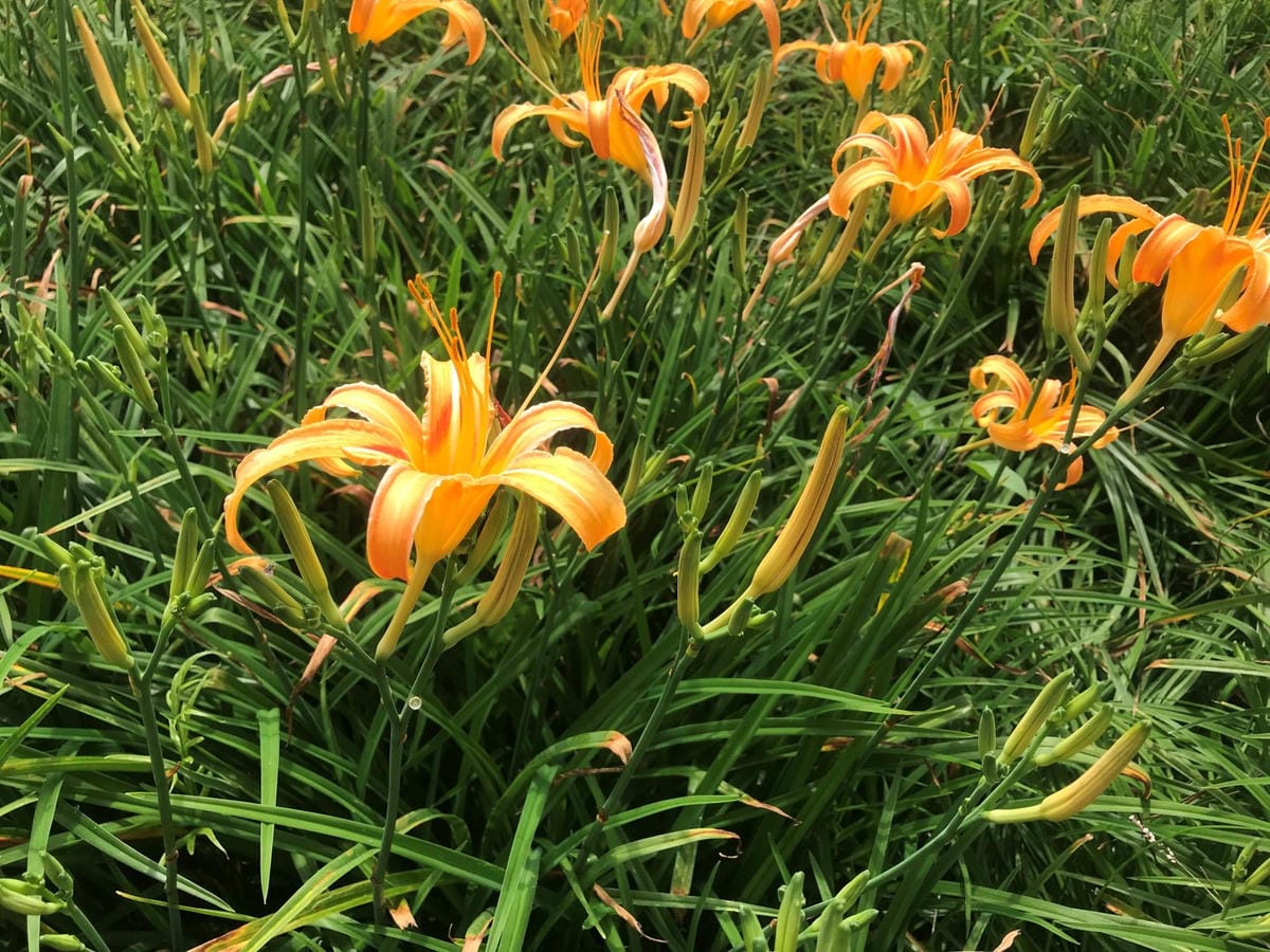 IMG_2473-1_副本.jpg IMG_2473-1_副本.jpg