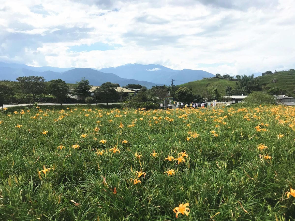 IMG_2471-1_副本.jpg IMG_2471-1_副本.jpg