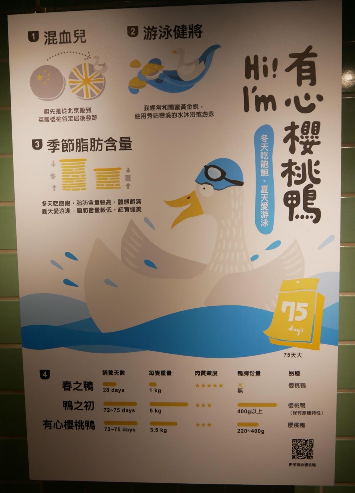 P1780049_副本.jpg P1780049_副本.jpg