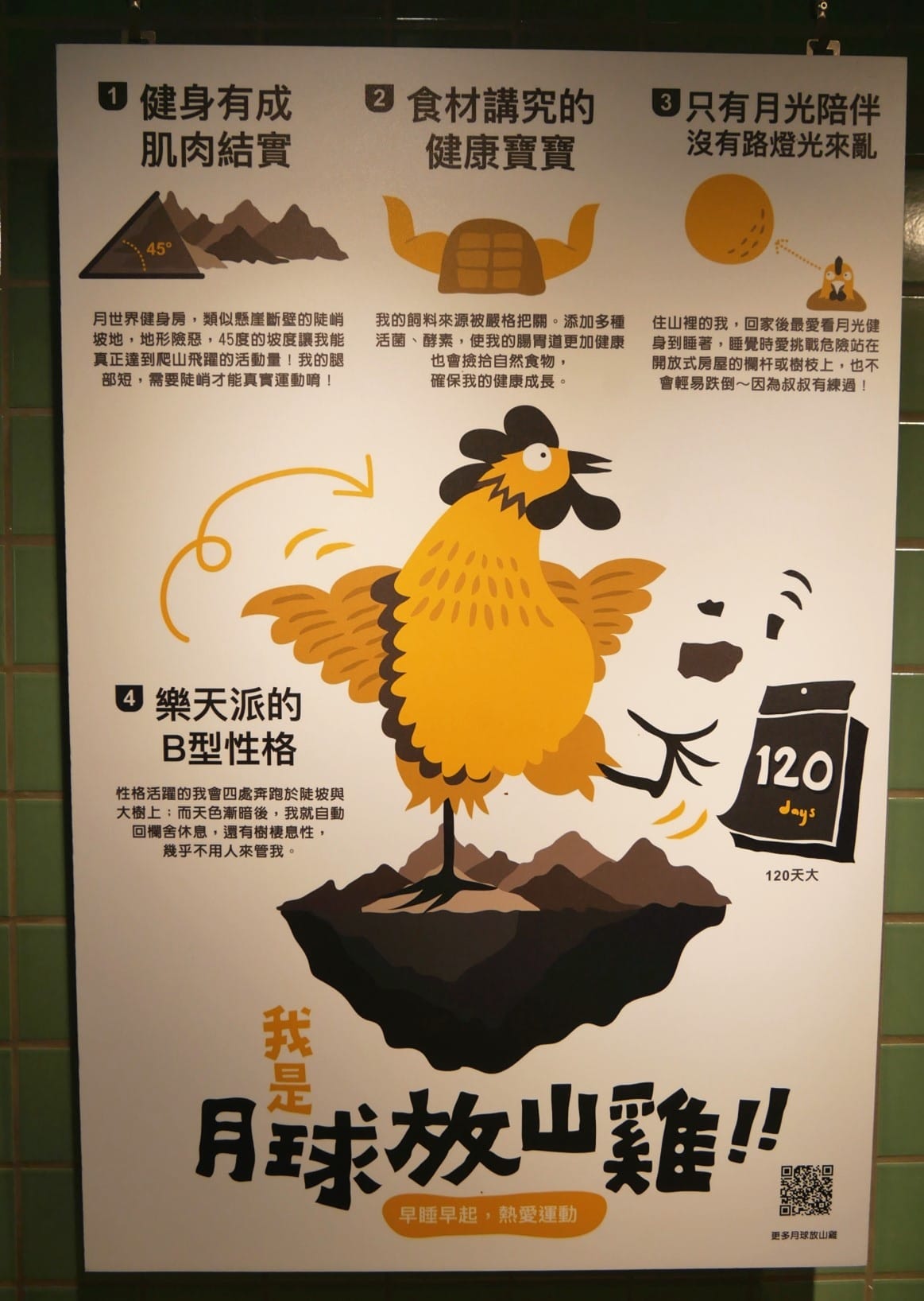 P1780045_副本.jpg P1780045_副本.jpg