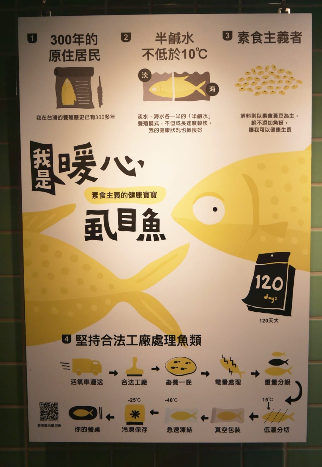 P1780050_副本.jpg P1780050_副本.jpg