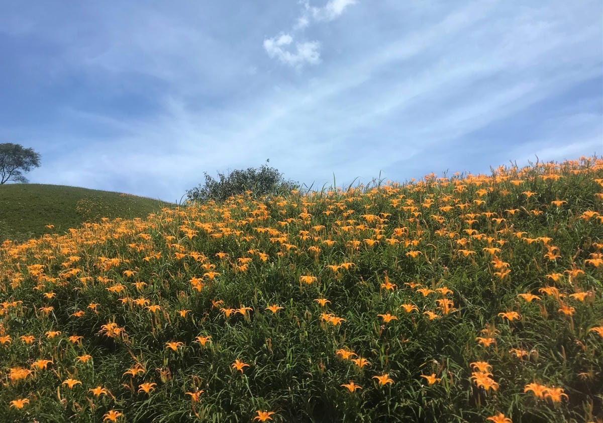 IMG_2446-1_副本.jpg IMG_2446-1_副本.jpg