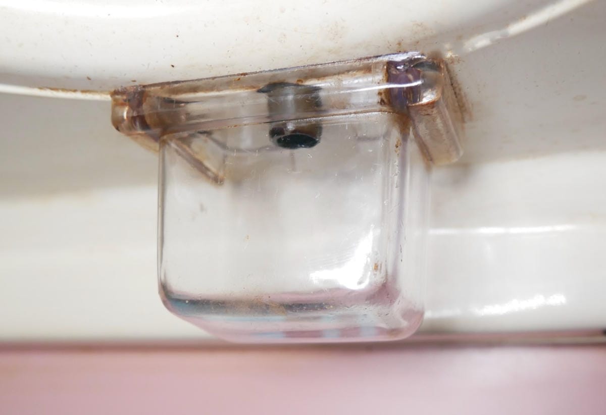 P1770837_副本.jpg P1770837_副本.jpg