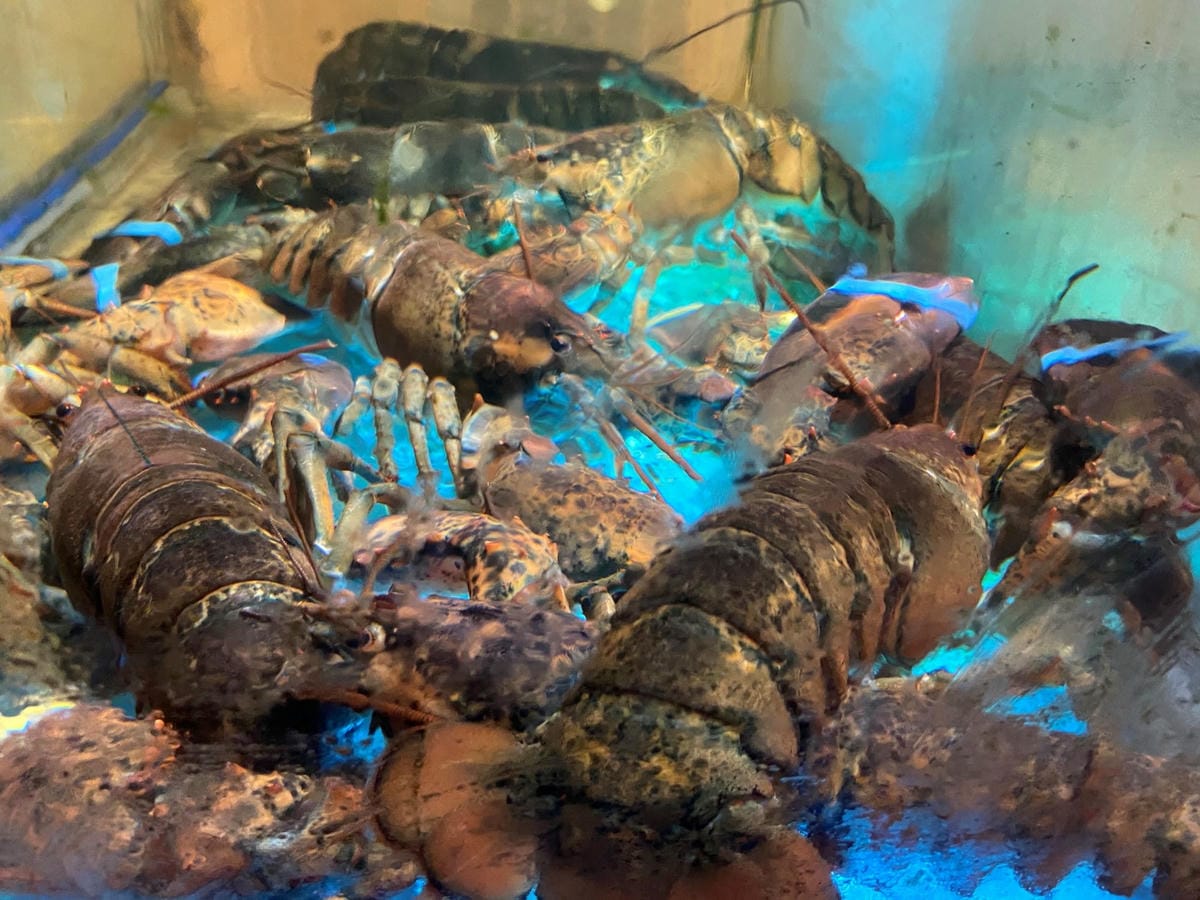 IMG_3540-1_副本.jpg IMG_3540-1_副本.jpg