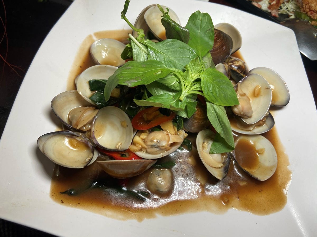 IMG_3614-1_副本.jpg IMG_3614-1_副本.jpg