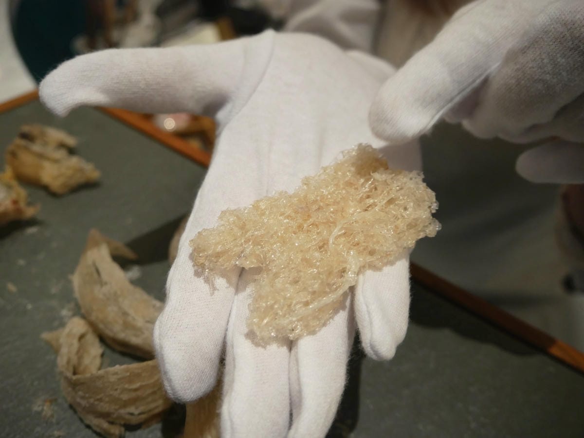 P1790573_副本.jpg P1790573_副本.jpg