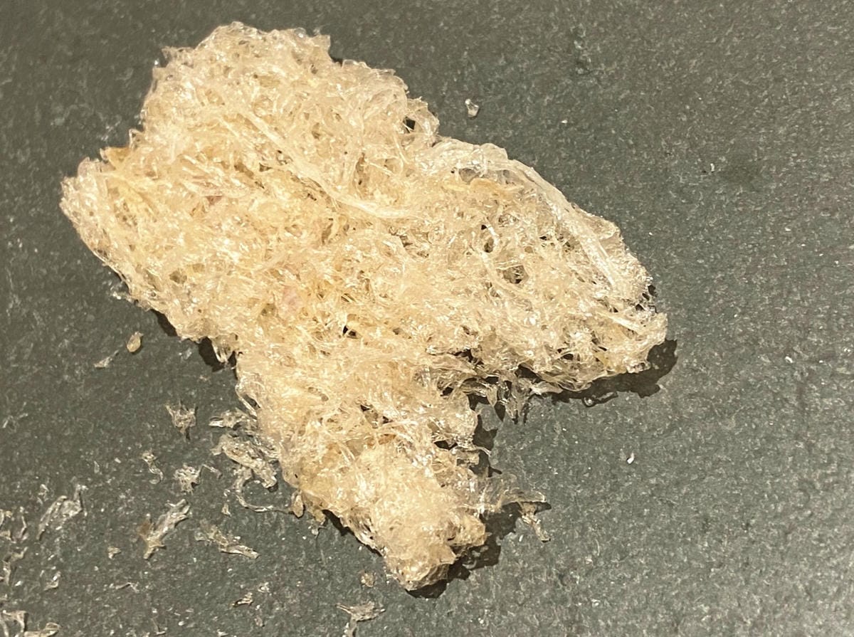 IMG_3341-1_副本.jpg IMG_3341-1_副本.jpg