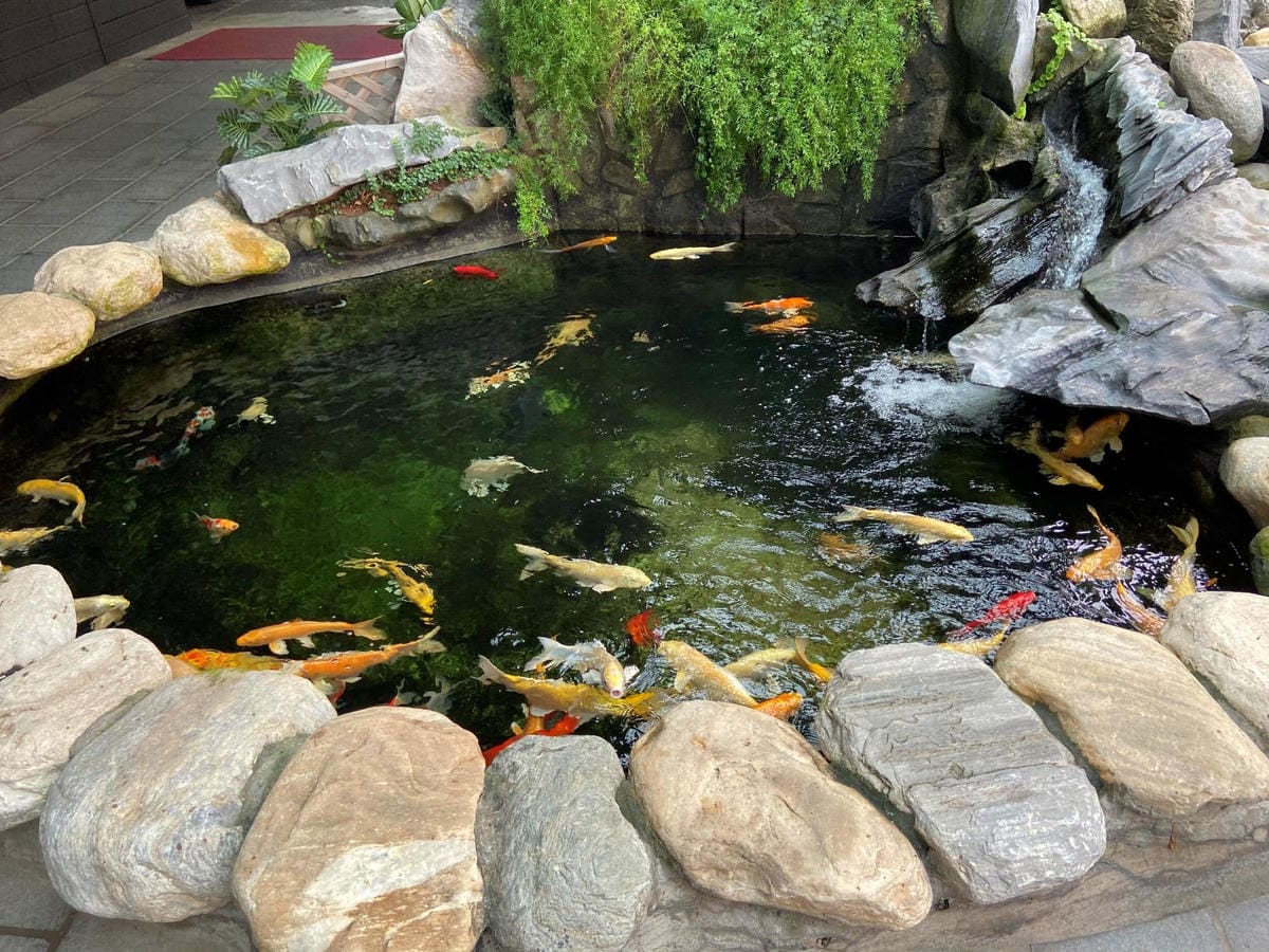 IMG_4139-1_副本.jpg IMG_4139-1_副本.jpg