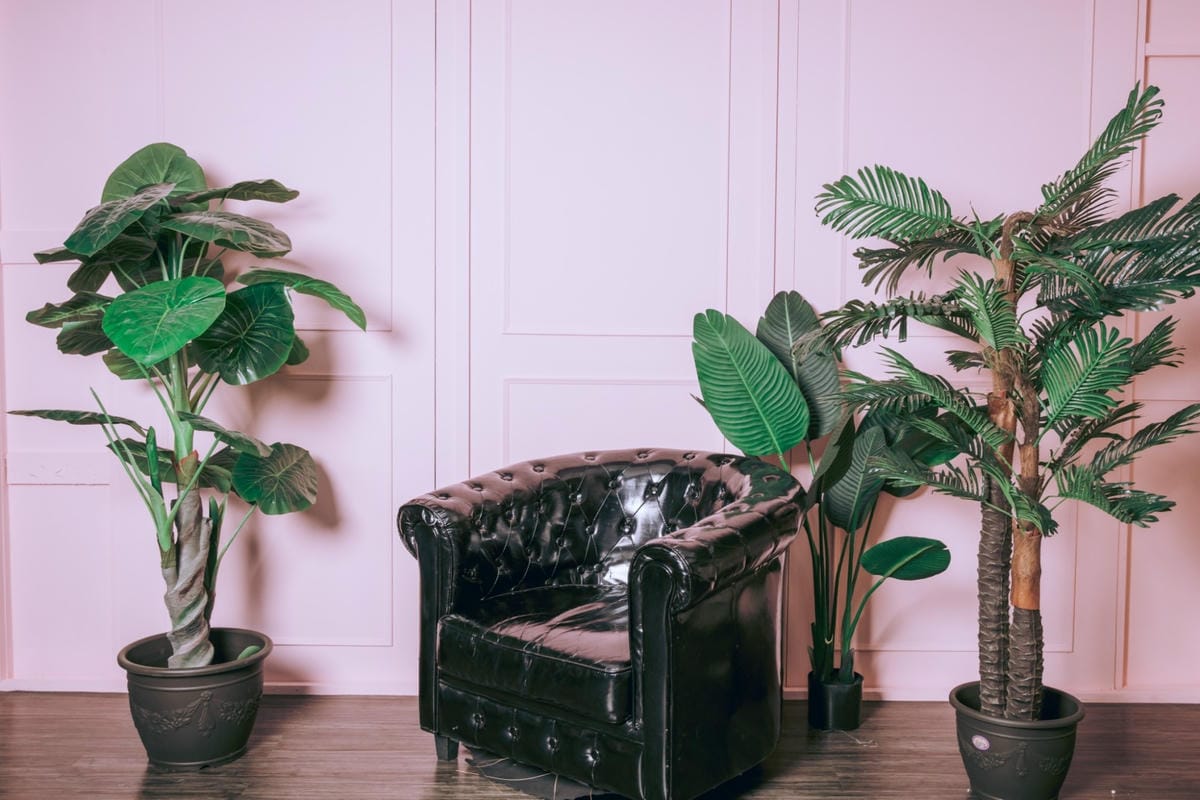 新竹棚景_200911_3_副本.jpg 新竹棚景_200911_3_副本.jpg