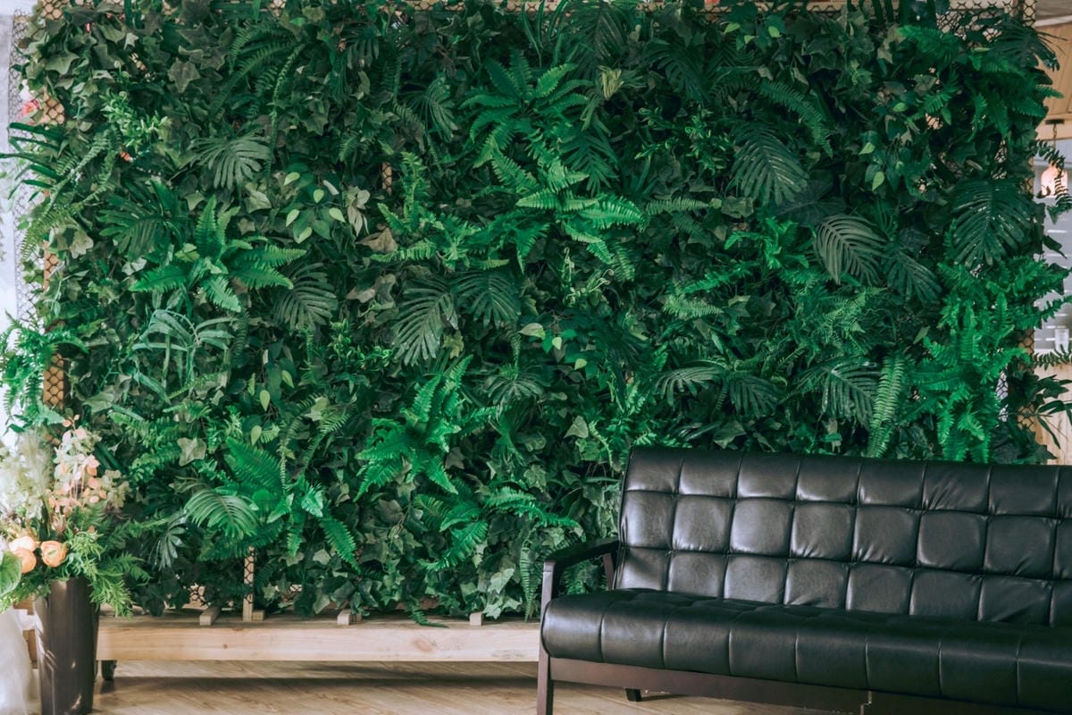 新竹棚景_200911_1_副本.jpg 新竹棚景_200911_1_副本.jpg