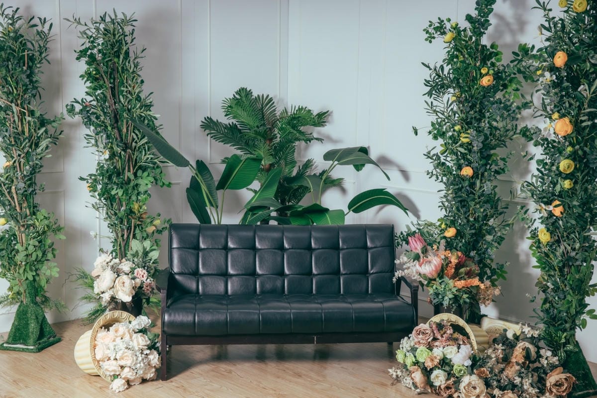 新竹棚景_200911_0_副本.jpg 新竹棚景_200911_0_副本.jpg