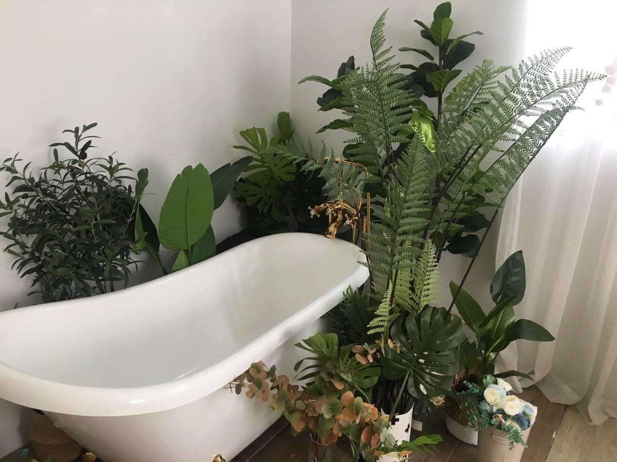 119517375_993393671074159_8126966888167915458.jpg 119517375_993393671074159_8126966888167915458.jpg