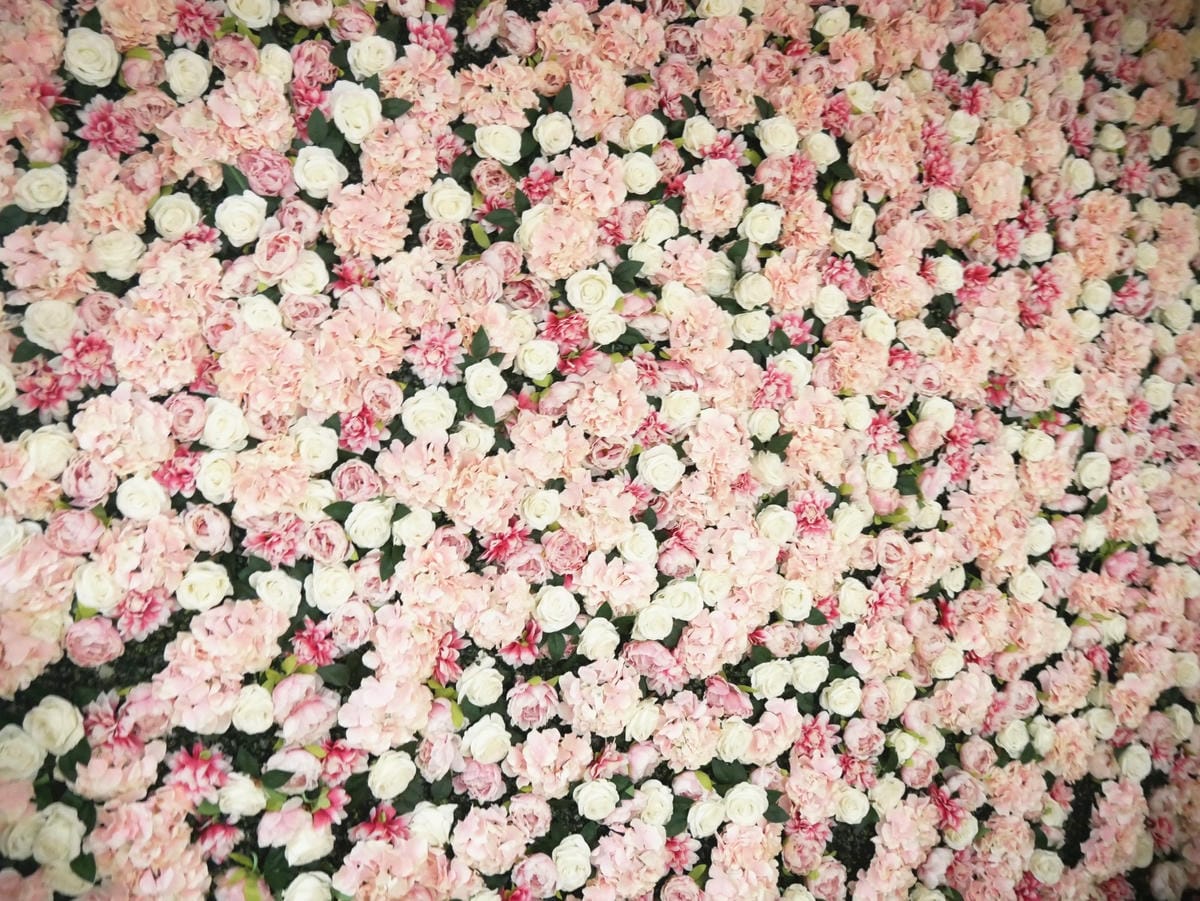 P1780455_副本.jpg P1780455_副本.jpg