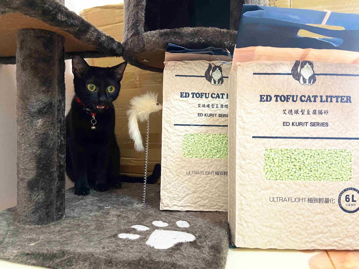 IMG_4642_副本.jpg IMG_4642_副本.jpg