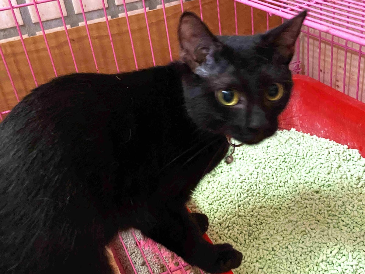 IMG_5034_副本.jpg IMG_5034_副本.jpg