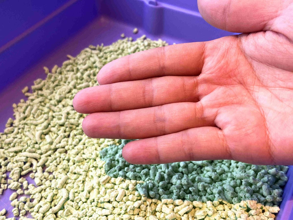 IMG_4794_副本.jpg IMG_4794_副本.jpg