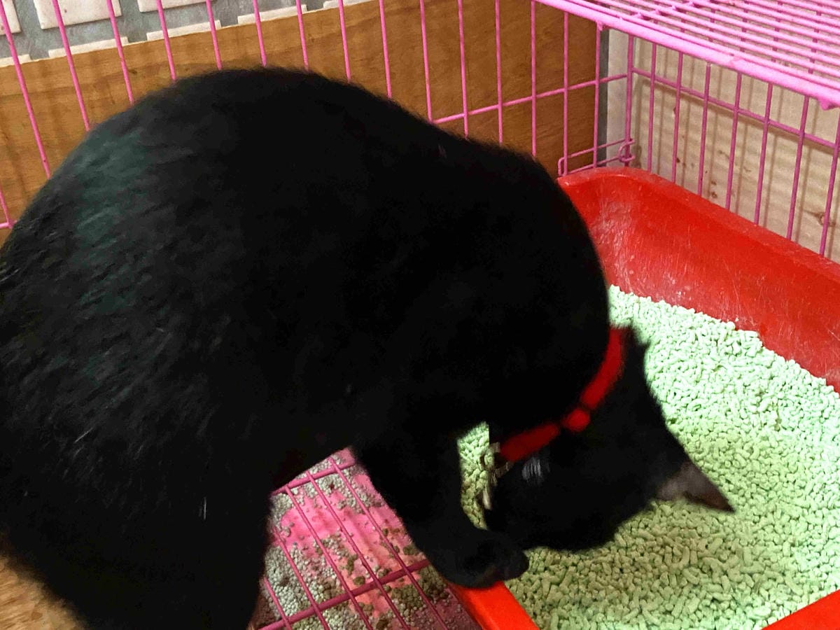 IMG_5031_副本.jpg IMG_5031_副本.jpg