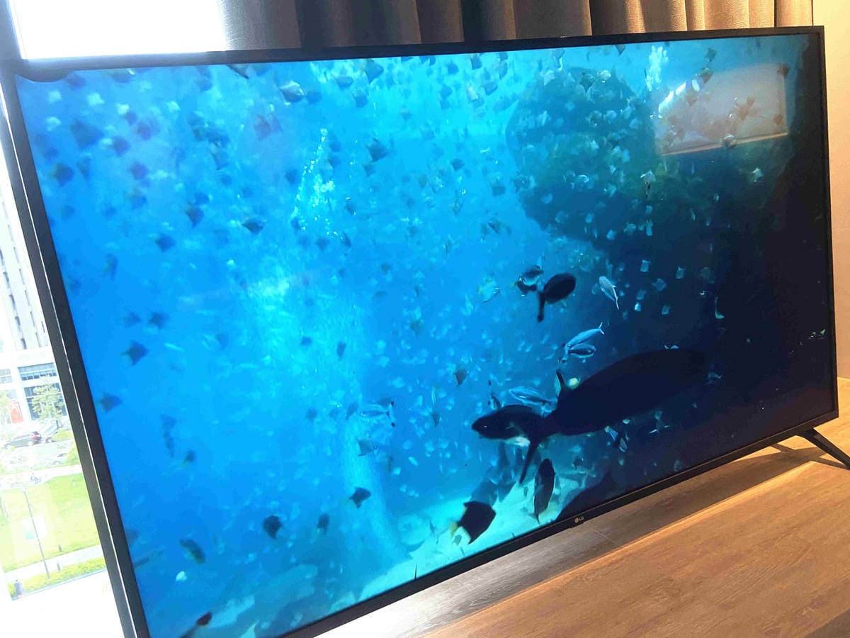 IMG_4762_副本.jpg IMG_4762_副本.jpg