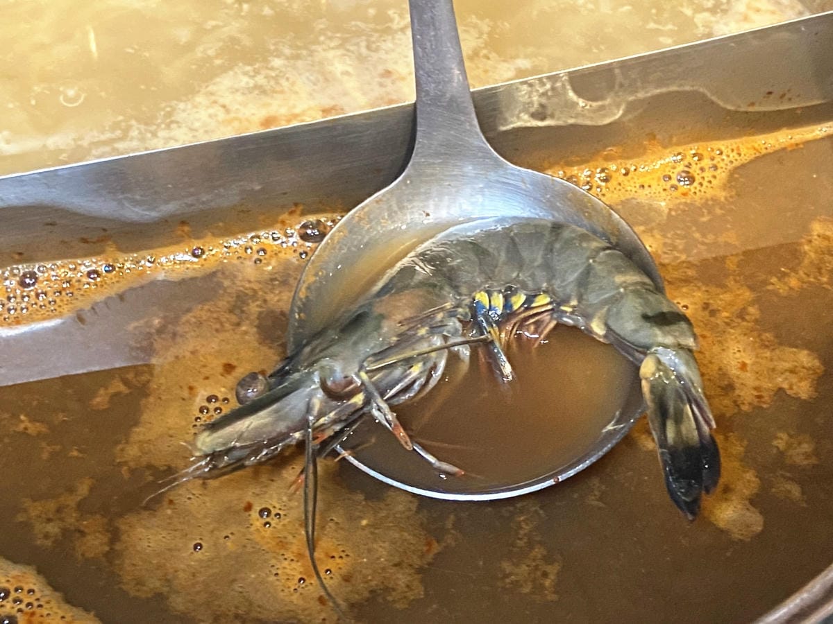 IMG_5407_副本.jpg IMG_5407_副本.jpg