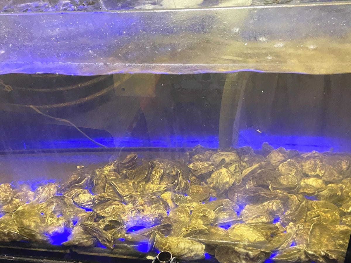 IMG_5455_副本.jpg IMG_5455_副本.jpg