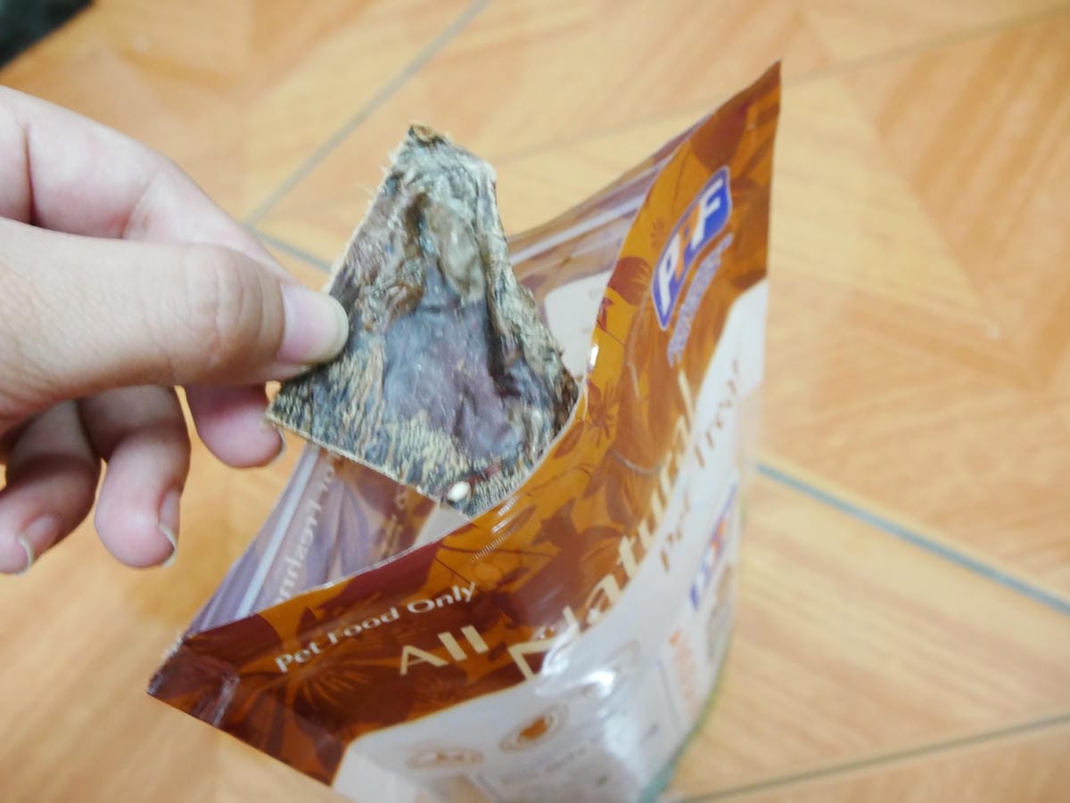 P1760374_副本.jpg P1760374_副本.jpg