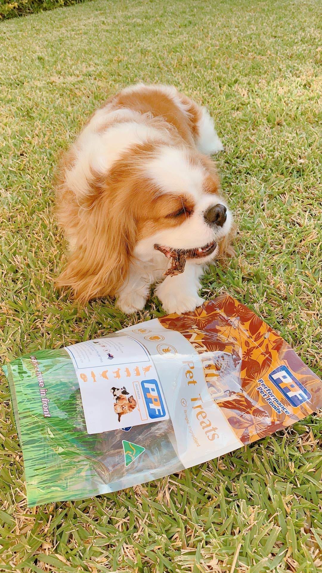 116696645_590199381659174_1924164281420865156.jpg 116696645_590199381659174_1924164281420865156.jpg