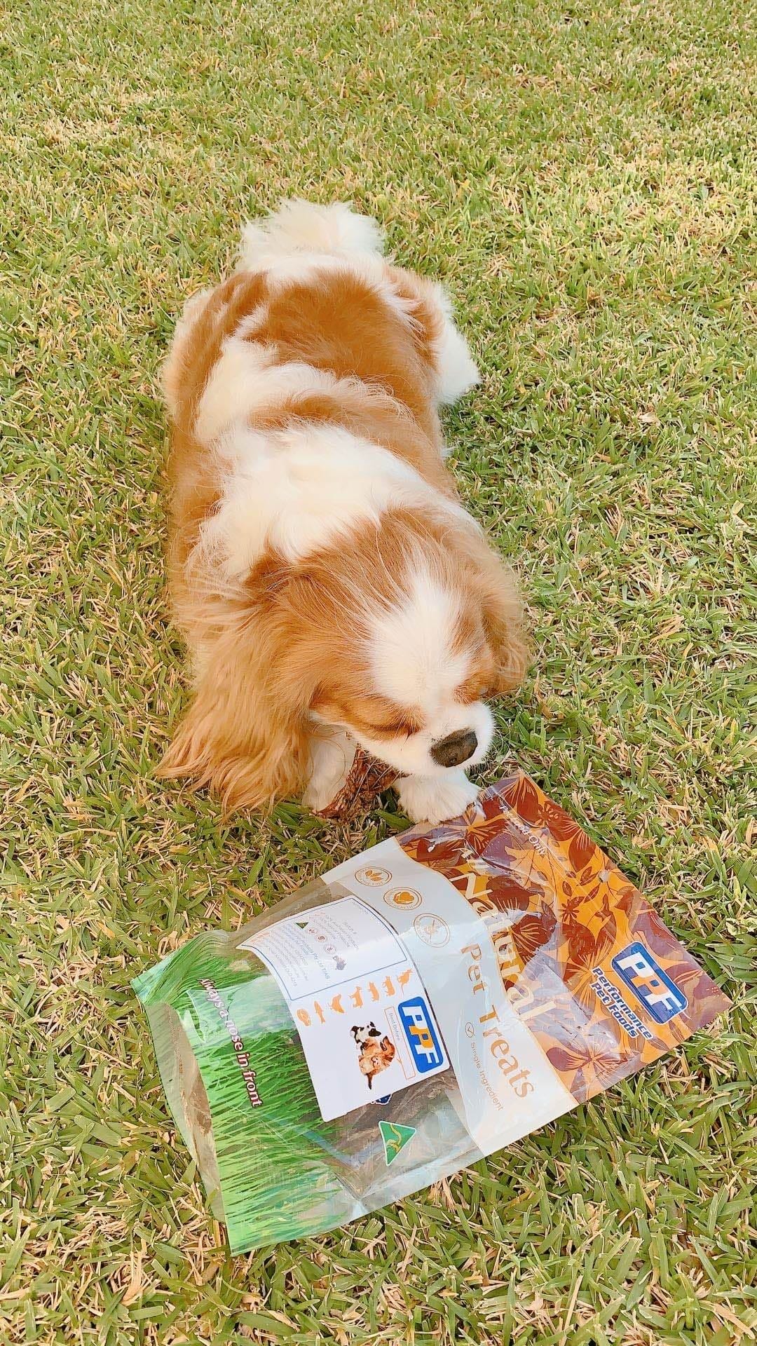 116900374_584053122262157_5479522947205028770.jpg 116900374_584053122262157_5479522947205028770.jpg