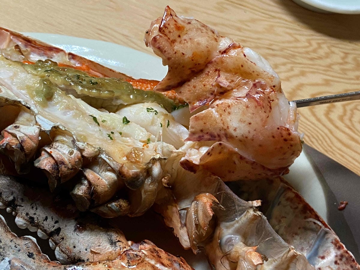 IMG_6958.jpg IMG_6958.jpg